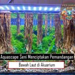 Aquascape Seni Menciptakan Pemandangan Bawah Laut di Akuarium