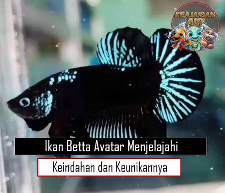 Ikan Betta Avatar Menjelajahi Keindahan dan Keunikannya