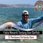 Fakta Menarik Tentang Ikan Oarfish Si Pembawa Pertanda Alam