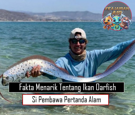 Fakta Menarik Tentang Ikan Oarfish Si Pembawa Pertanda Alam