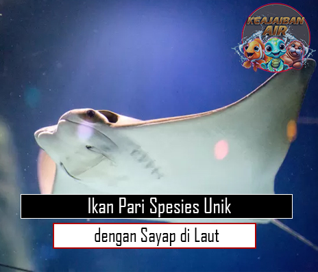 Ikan Pari: Spesies Unik dengan Sayap di Laut