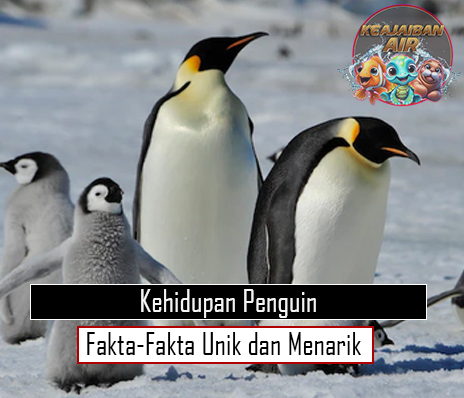 Kehidupan Penguin Fakta-Fakta Unik dan Menarik