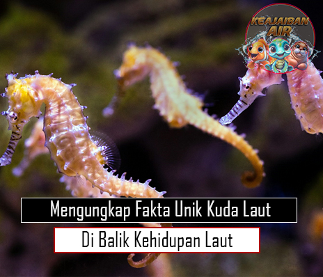 Mengungkap Fakta Unik Kuda Laut di Balik Kehidupan Laut