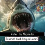 Misteri Hiu Megalodon Benarkah Masih Hidup di Lautan