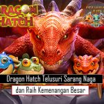 Dragon Hatch Telusuri Sarang Naga dan Raih Kemenangan Besar