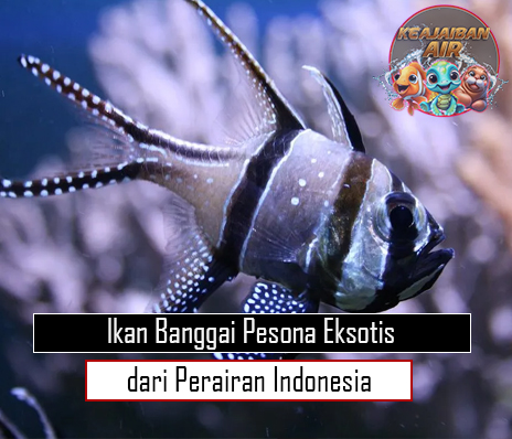 Ikan Banggai Pesona Eksotis dari Perairan Indonesia