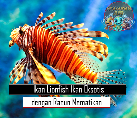 Ikan Lionfish Ikan Eksotis dengan Racun Mematikan