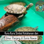 Kura Kura Simbol Ketahanan dan Umur Panjang di Dunia Hewan