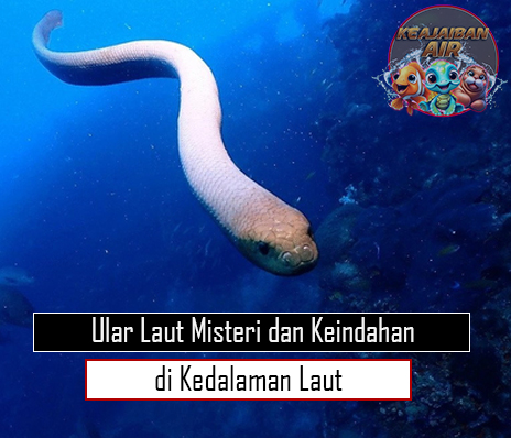 Ular Laut Misteri dan Keindahan di Kedalaman Laut