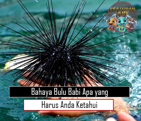 Bahaya Bulu Babi Apa yang Harus Anda Ketahui