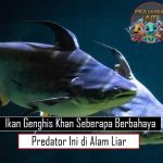 Ikan Genghis Khan: Seberapa Berbahaya Predator Ini di Alam Liar