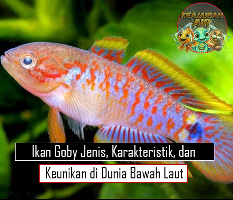 Ikan Goby Jenis, Karakteristik, dan Keunikan di Dunia Bawah Laut