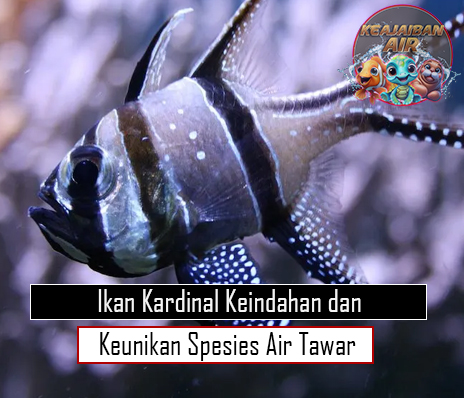 Ikan Kardinal Keindahan dan Keunikan Spesies Air Tawar