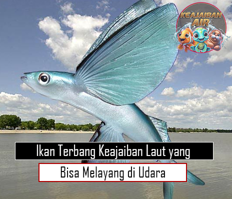 Ikan Terbang Keajaiban Laut yang Bisa Melayang di Udara