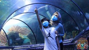 Mengenal SeaWorld Ancol