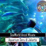 SeaWorld Ancol Wisata Aquarium Seru di Jakarta