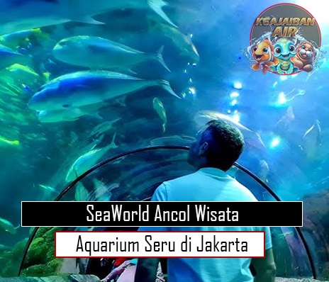 SeaWorld Ancol Wisata Aquarium Seru di Jakarta