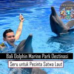 Bali Dolphin Marine Park Destinasi Seru untuk Pecinta Satwa Laut