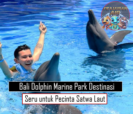 Bali Dolphin Marine Park Destinasi Seru untuk Pecinta Satwa Laut