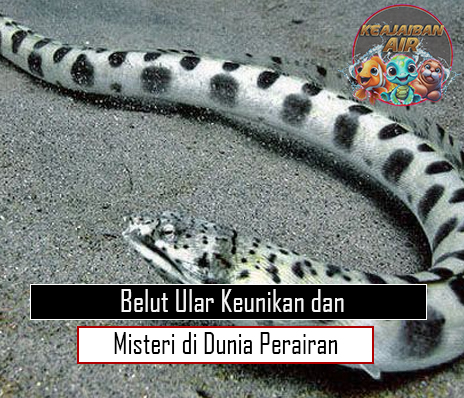 Belut Ular Keunikan dan Misteri di Dunia Perairan