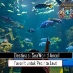 Destinasi SeaWorld Ancol Favorit untuk Pecinta Laut