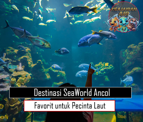 Destinasi SeaWorld Ancol Favorit untuk Pecinta Laut