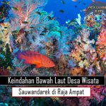 Keindahan Bawah Laut Desa Wisata Sauwandarek di Raja Ampat