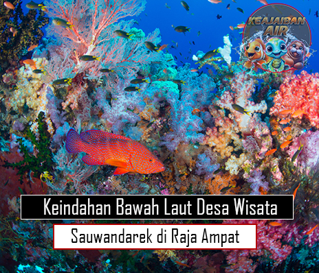 Keindahan Bawah Laut Desa Wisata Sauwandarek di Raja Ampat