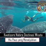 Kwatisore Nabire Destinasi Wisata Hiu Paus yang Menakjubkan