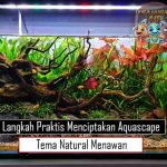 Langkah Praktis Menciptakan Aquascape Tema Natural Menawan