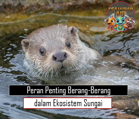 Peran Penting Berang-Berang dalam Ekosistem Sungai