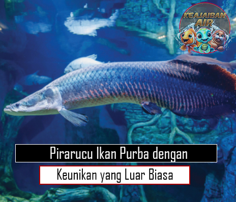 Pirarucu Ikan Purba dengan Keunikan yang Luar Biasa