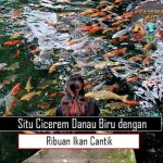 Situ Cicerem Danau Biru dengan Ribuan Ikan Cantik