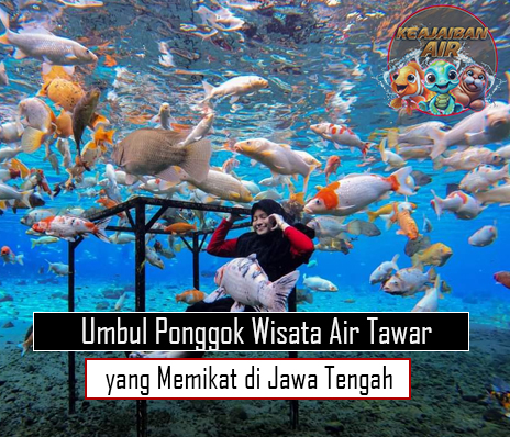 Umbul Ponggok Wisata Air Tawar yang Memikat di Jawa Tengah