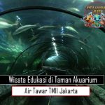 Wisata Edukasi di Taman Akuarium Air Tawar TMII Jakarta