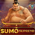 Sumo Supreme Megaways: 7.776 Cara Menang di Arena Sumo!