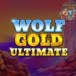 Cara Mudah Daftar dan Main Slot Wolf Gold Ultimate Tanpa Ribet!